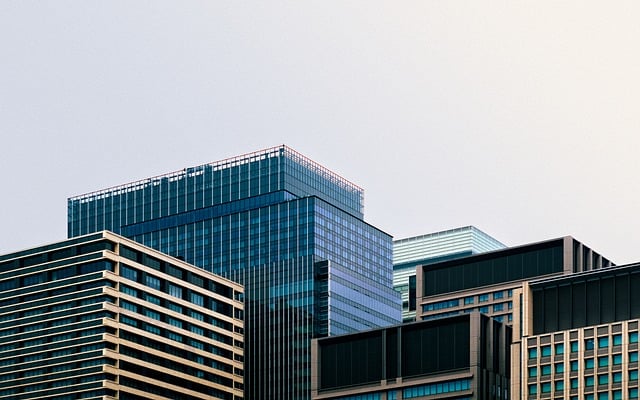 美团大象电脑版怎么下？官方正版安装包在这儿